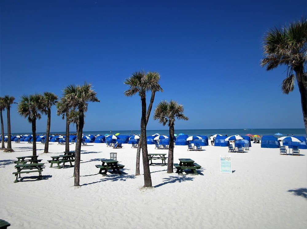 clearwater beach is one of the white sand beaches in florida