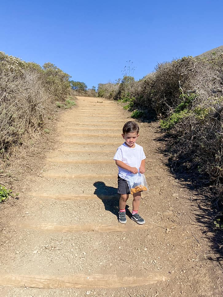 walk down to the black sand beach