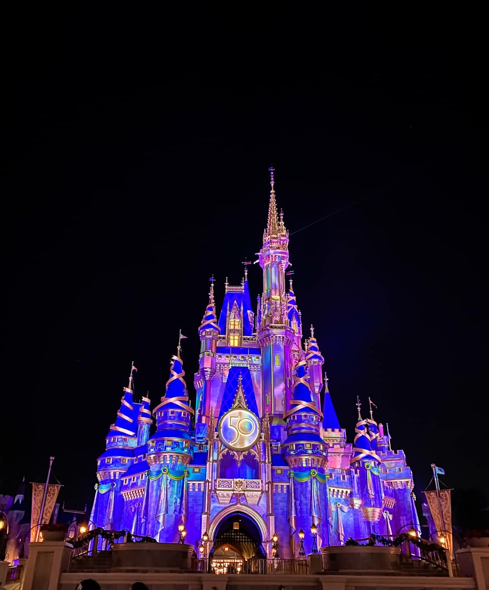 Read more about the article First Timers Guide to Disney World with Toddlers + 3 Closest Beaches