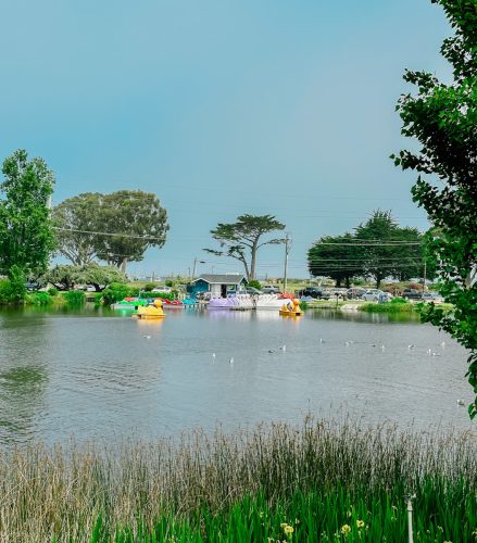 pond at el estero park