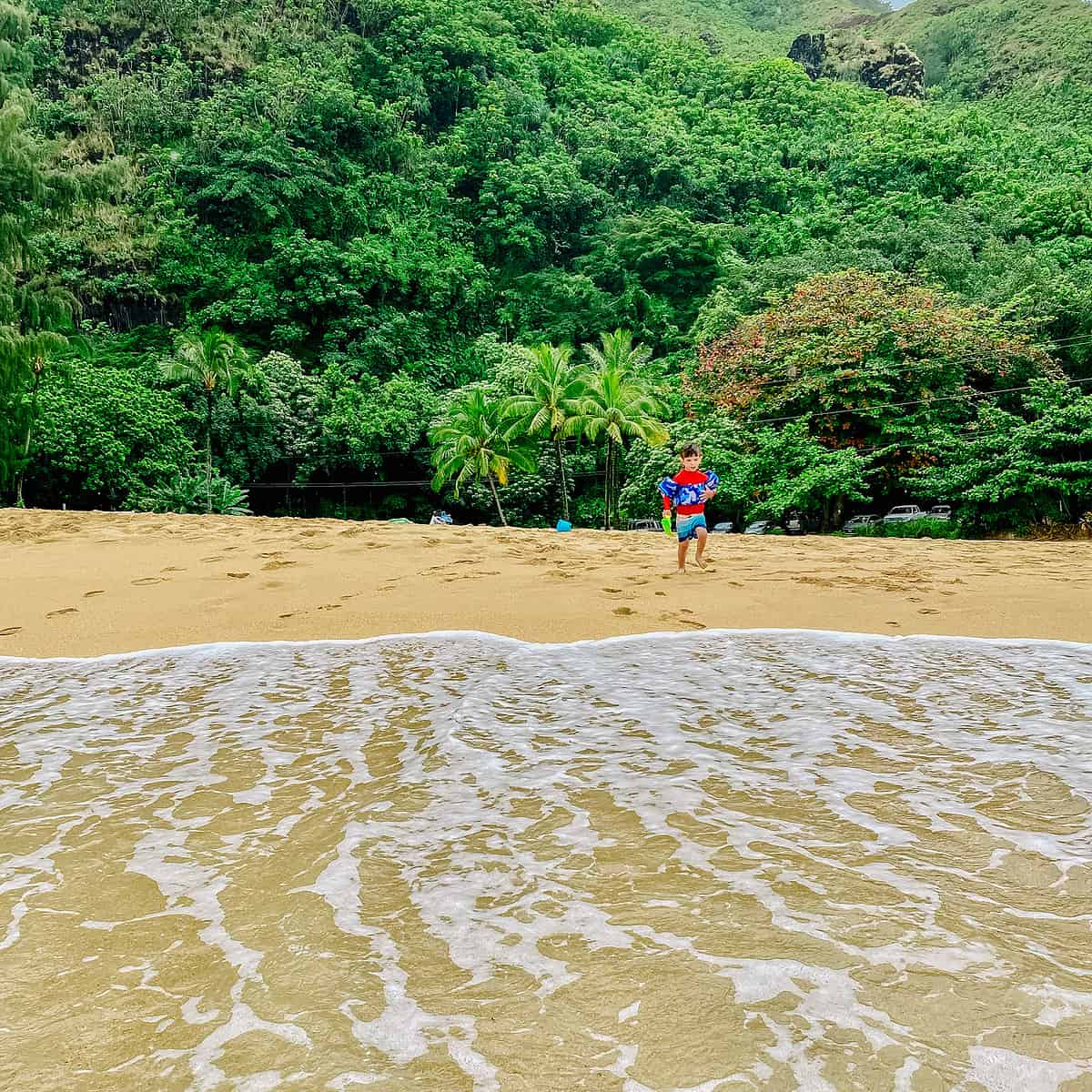 Read more about the article Best Area to Stay in Kauai in 2025: Hotels + Details + Map