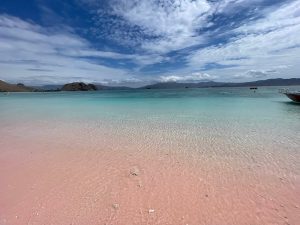 pink beach on komodo island in indonesia