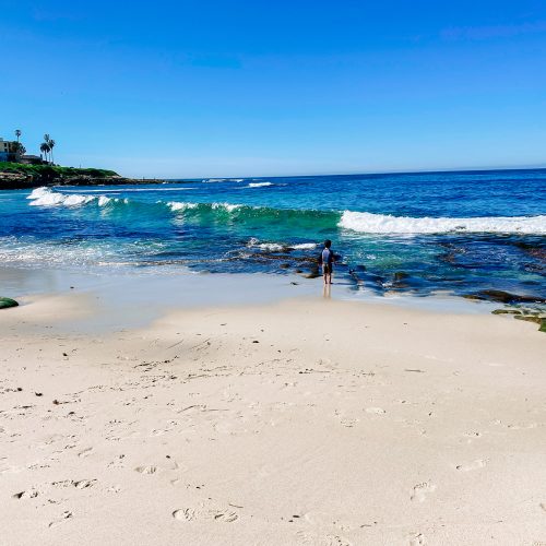 one of the best beaches in california is la jolla beach