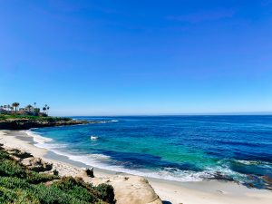la jolla is one of the best beaches in california