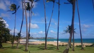 beach day nap cheat sheet