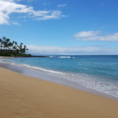 one of the top things to do in maui with kids is visit the beach!