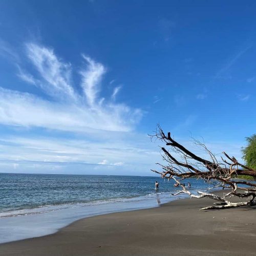 olowalu beach is one of the best beaches in west maui