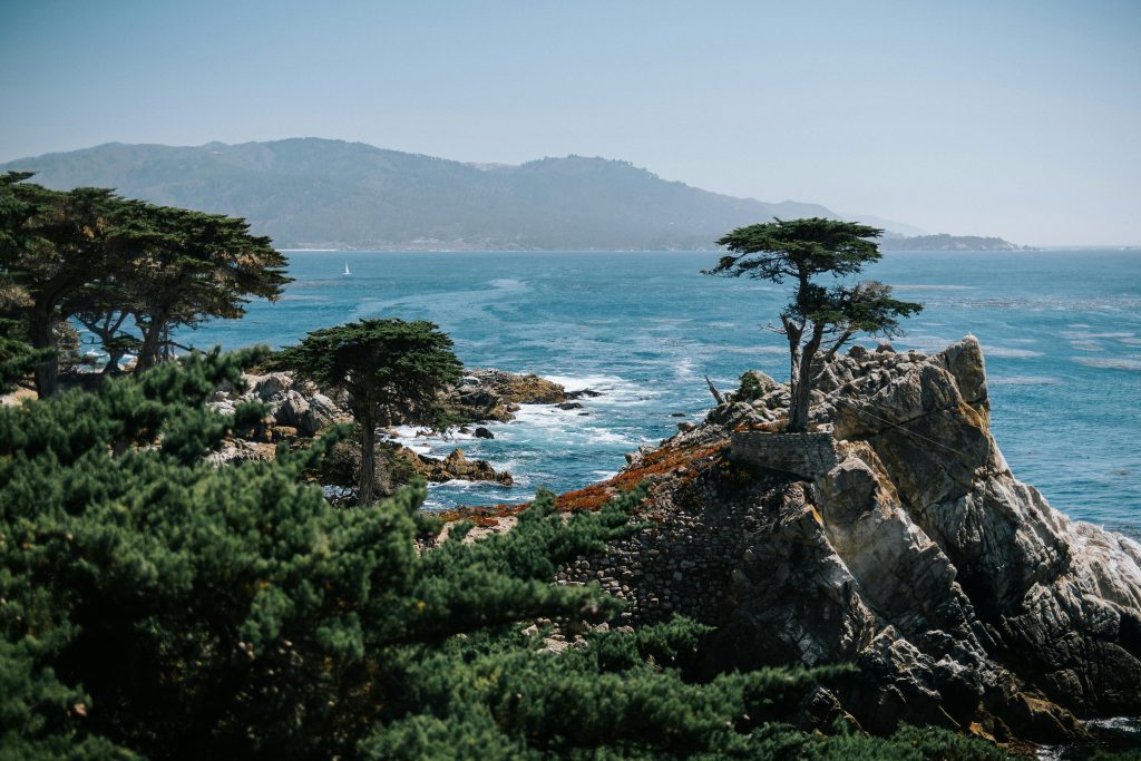 point lobos california