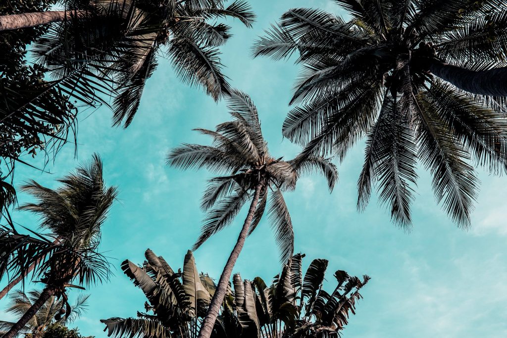 beach day snack planner for babies and toddlers