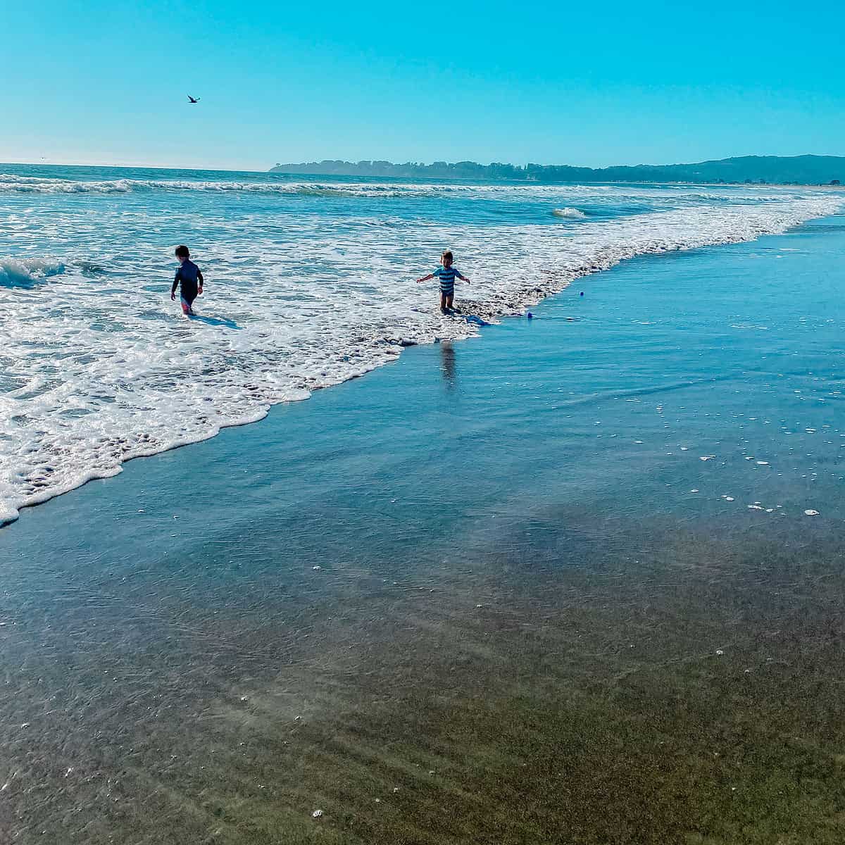 Read more about the article The 9 Best Things To Do in Stinson Beach With Kids in 2025