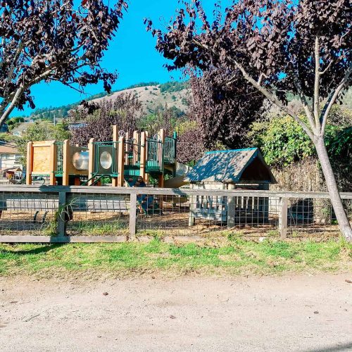 one of the best things to do in stinson beach with kids is to play at the local playground